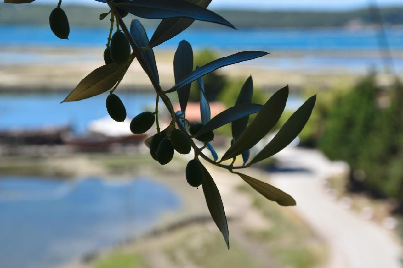 Olive Garden & Sea Apartments ポルトローシュ エクステリア 写真